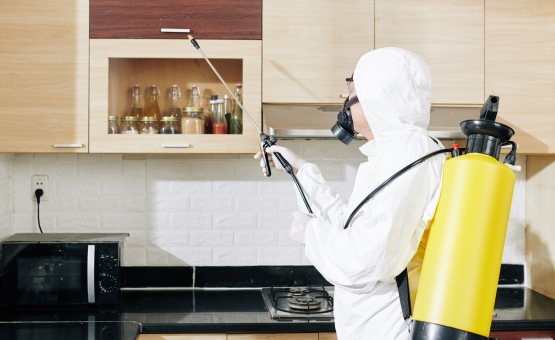 خدمات التطهير والتعقيم