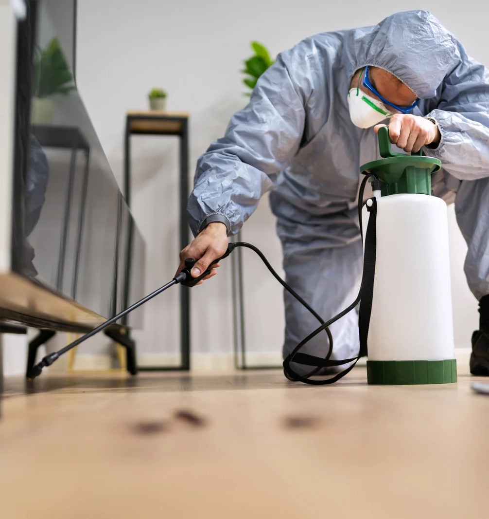 عن الالمانيه تك