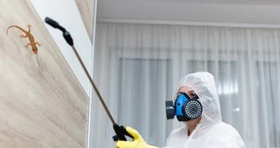 مكافحة الأبراص والوزغ